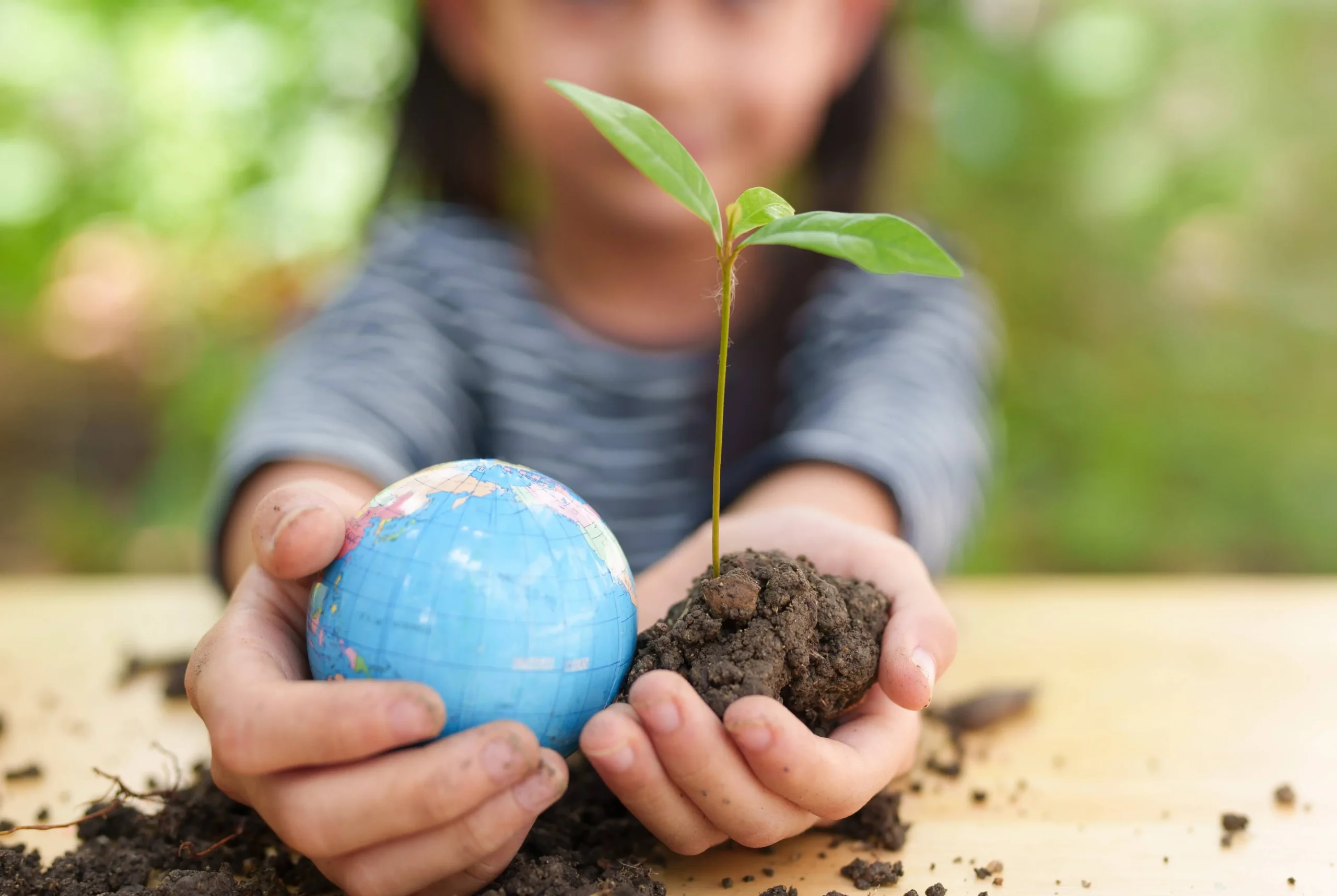 O Desenvolvimento da Consciência Ambiental nos Anos Iniciais