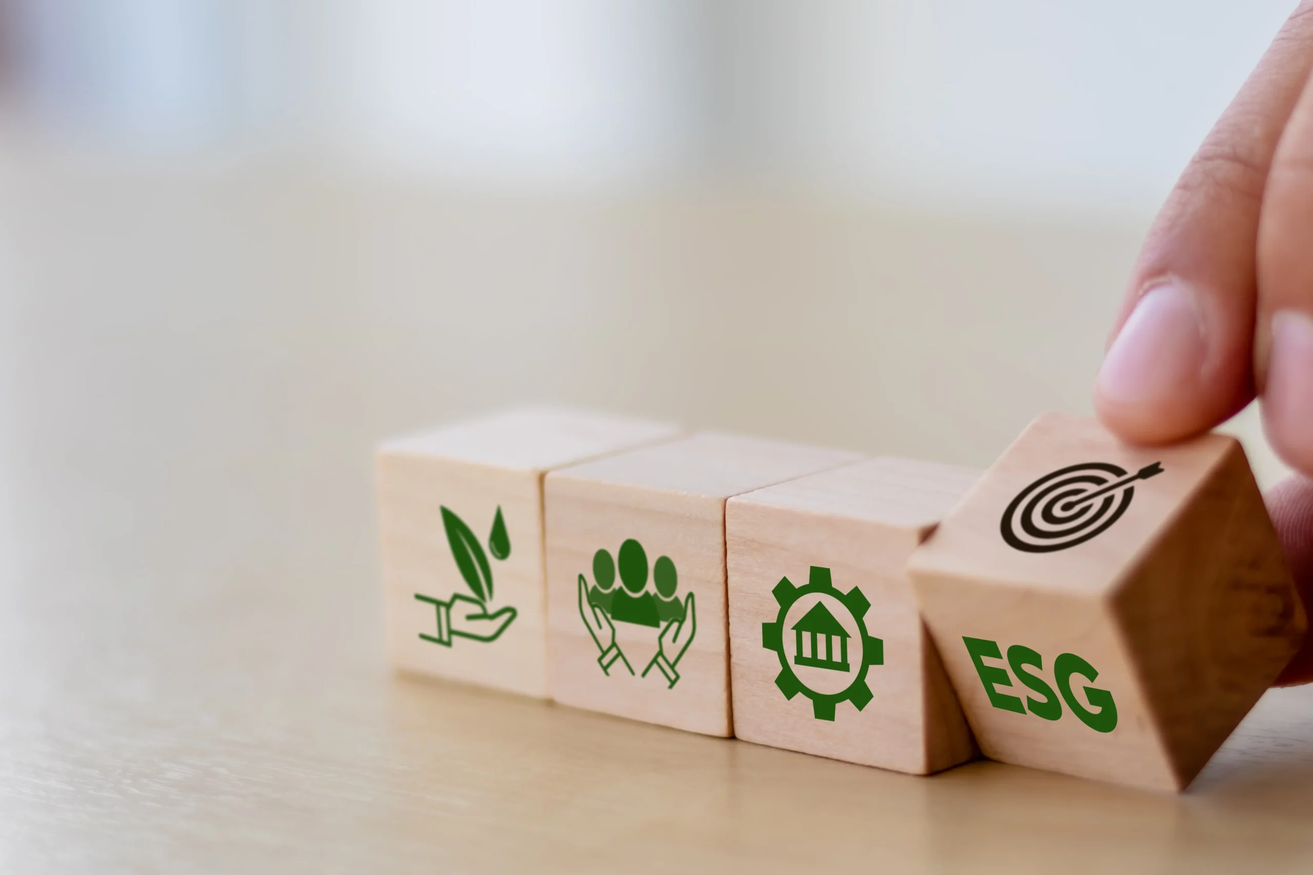 papel da escola pública - construção dos valores socioambientais