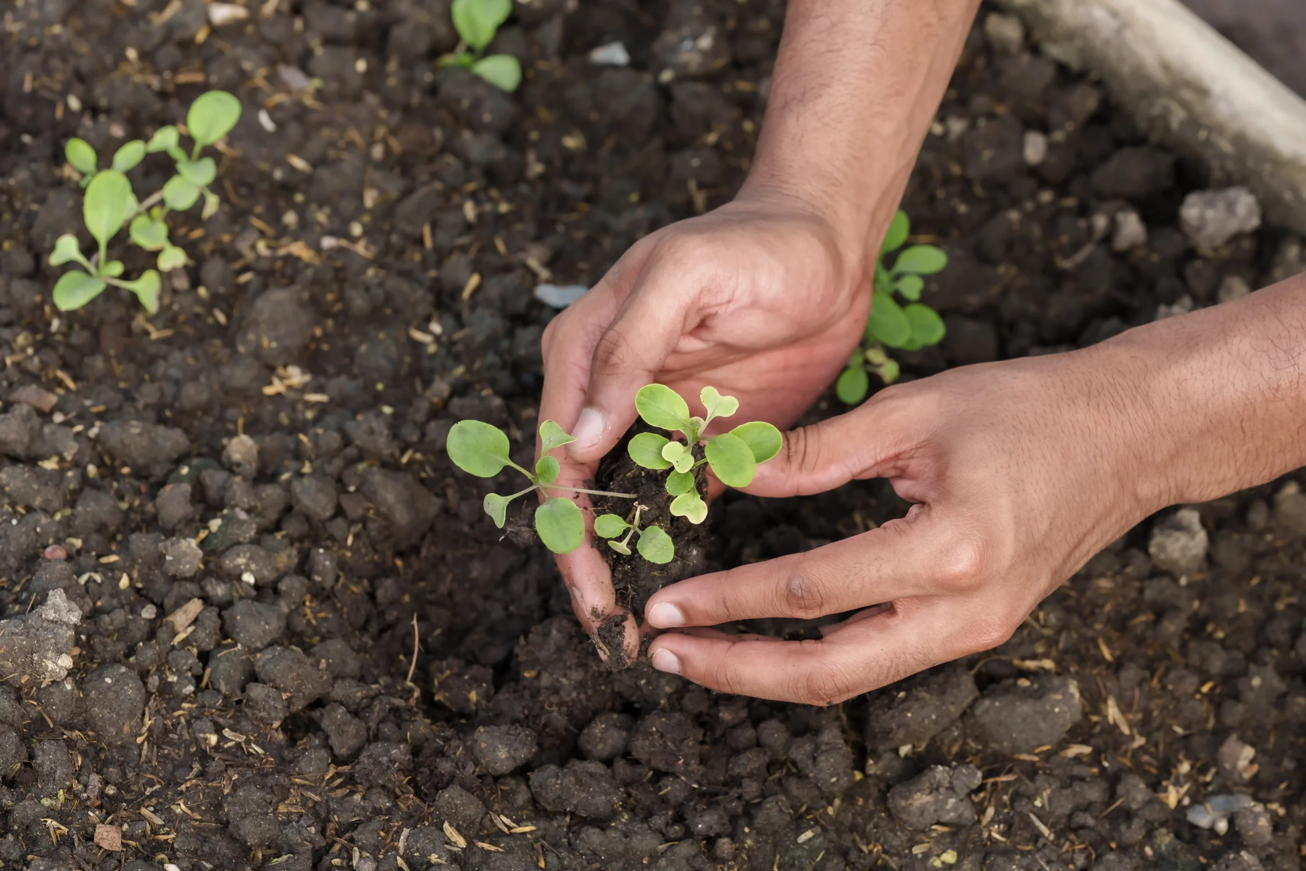 Biodiversidade e conservação um convite à Educação Ambiental